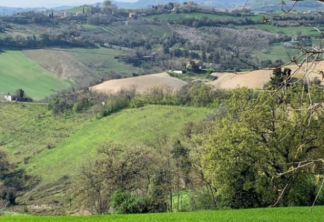 Immobile in asta di 81830 m² in vendita a Monte Vidon Combatte - Foto 2