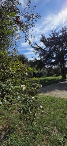 Casale in vendita a Morlupo - Foto 19