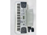 Tastiera casio ctk-591 con pedale