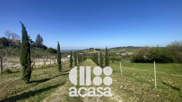 SOLO PER IMPRENDITORI AGRICOLI - Foto 11