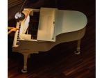 Pianista professionista a Parma