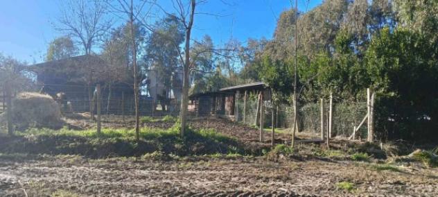 Immobile in asta di 22865 m² in vendita a Teramo - Foto 2