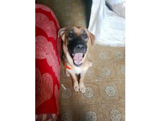 SARABY