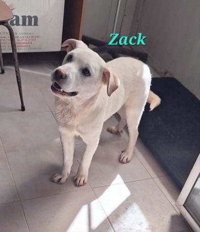 Ehi tu, si proprio tu, mi porti nella tua vita? - Foto 3