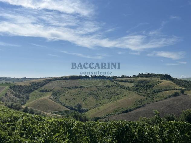 PODERE AGRICOLO CON CAPANNONE - BRISIGHELLA - FAENZA - VIA AGELLO E SANDRONA - Foto 6