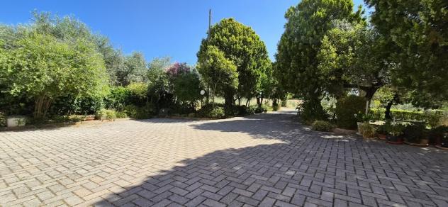 Casale in vendita a Loreto Aprutino - Foto 14