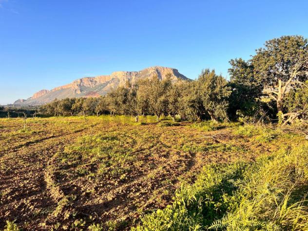 Terreno in vendita a Partinico - Foto 4