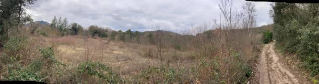 Immobile in asta di 1420 m² in vendita a Terni - Foto 2
