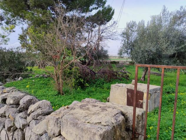 Cascina/Casale in vendita a Modica, Cava D'Ispica - Foto 13
