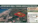 TERRENO AGRICOLO NEI PRESSI DI VIA DOMIZIANA - RIF. V3247