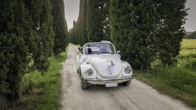 Noleggio maggiolone cabrio - Foto 2