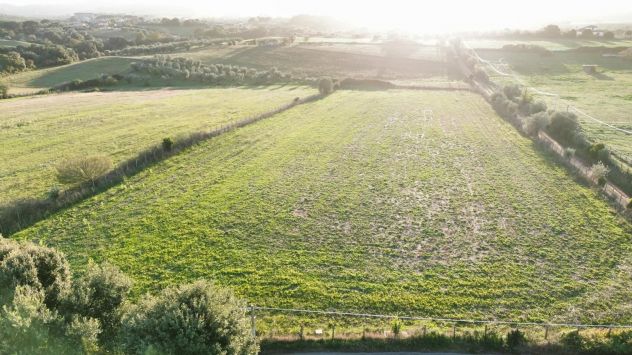 Terreno Agricolo in Bracciano