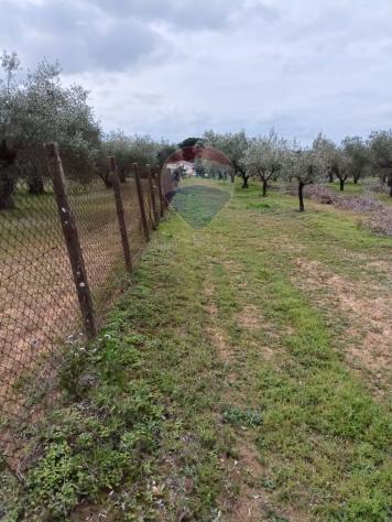 Terreno in vendita a Caltagirone, Santo Pietro - Foto 11