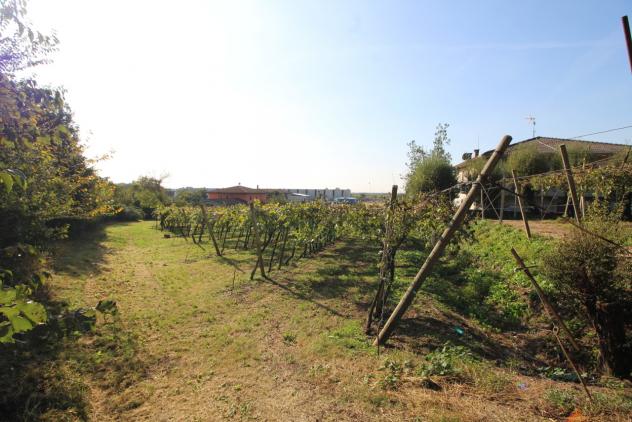 Terreno edificabile in vendita a Gambellara - Foto 5