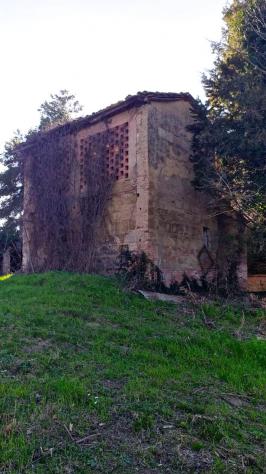 Bellissimo Casale Diruto Da Restaurare Immerso nel Verde delle Colline Pisane della Valdera - Foto 7