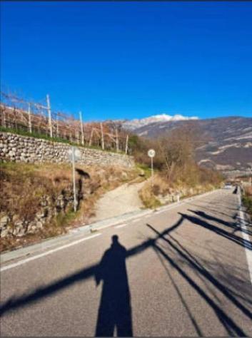 Immobile in asta di 701 m² in vendita a Rovereto - Foto 8