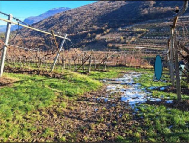 Immobile in asta di 1709 m² in vendita a Rovereto - Foto 12