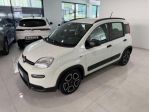 FIAT Panda 1.0 FireFly S&S Hybrid City Life rif. 24091785