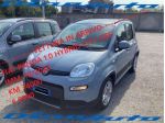 FIAT Panda Panda 1.0 firefly hybrid City Life s----VETTURA IN rif. 24203587