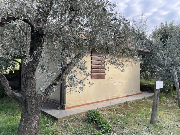 Uliveto in vendita a Casale Marittimo - Foto 3