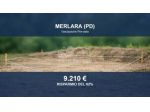 Immobile in asta di 489 m² in vendita a Merlara