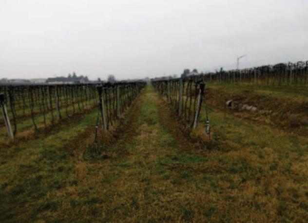 Immobile in asta di 42594 m² in vendita a Pescantina