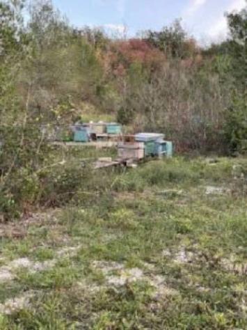 Immobile in asta di 249058 m² in vendita a Senigallia - Foto 17