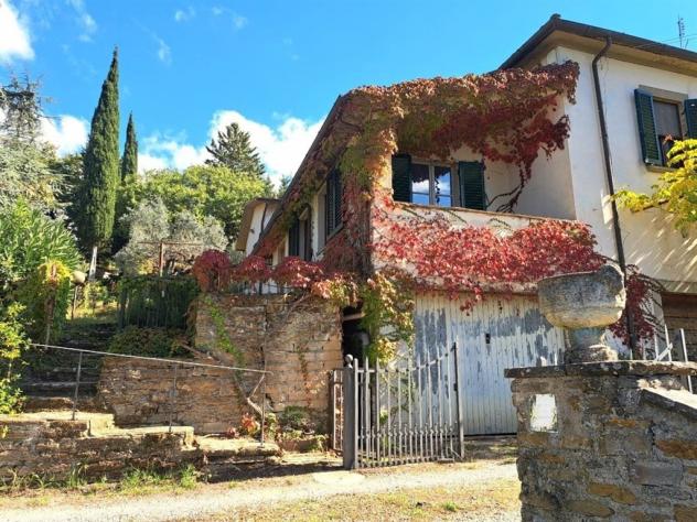 Tenuta Vivaio, Loc. Tregozzano - Rif. V185 - Foto 2