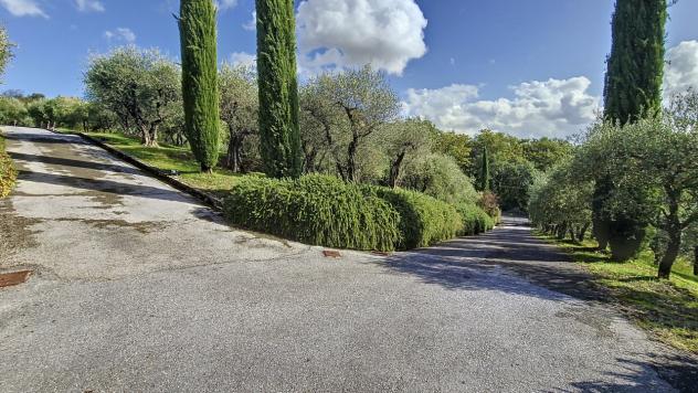 CASALE di 10 vani e di 500 mq (MONTECARLO) rif. 3495 - Foto 6