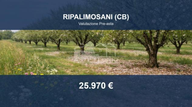 Immobile in asta di 7208 m² in vendita a Ripalimosani