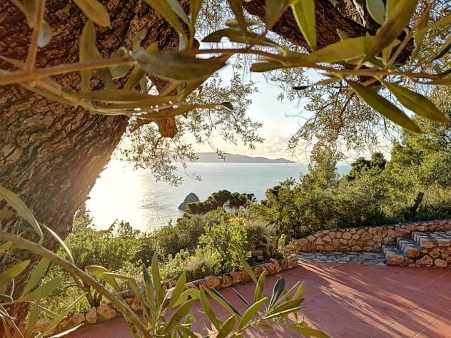casa indipendente in affitto a Monte Argentario in zona Porto Santo Stefano