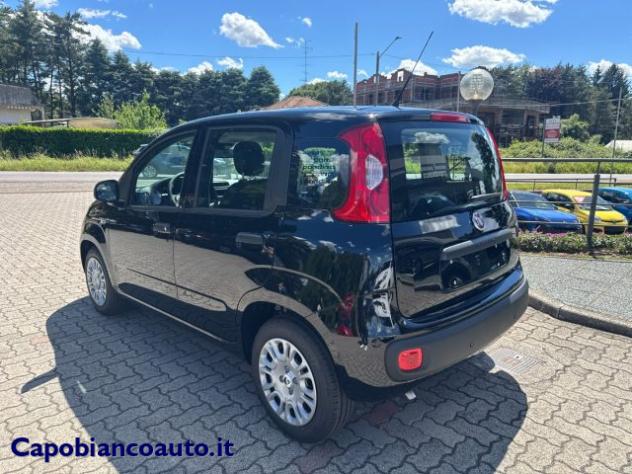 FIAT Panda 1.0 FireFly S&S Hybrid POP KM0 PROMO rif. 23776927 - Foto 4