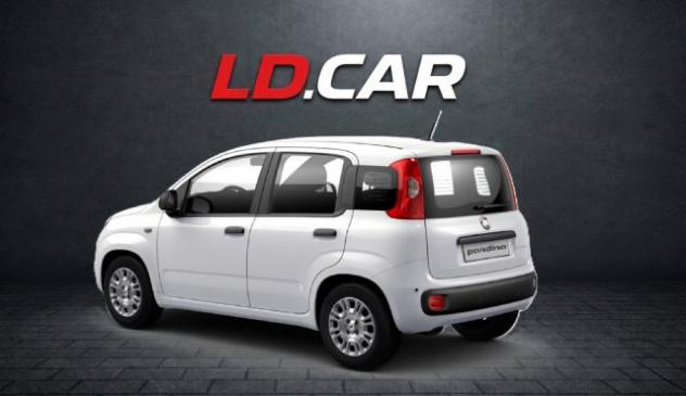 FIAT New Panda 1.0 FireFly 69cv Hybrid Pandina Icon - Km 0 2026 rif. 23650529 - Foto 3