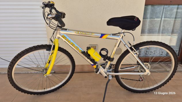 Bici Mountain bike con telaio in alluminio