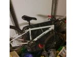 Mountain bike rock Rider pro mis.24