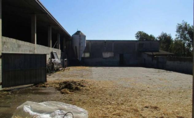 Immobile in asta di 762715 m² in vendita a Guspini - Foto 6
