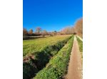 Vendesi Vasto Terreno Agricolo - Rif.C6