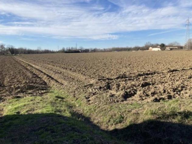 Immobile in asta di 43964 m² in vendita a Cremona - Foto 3