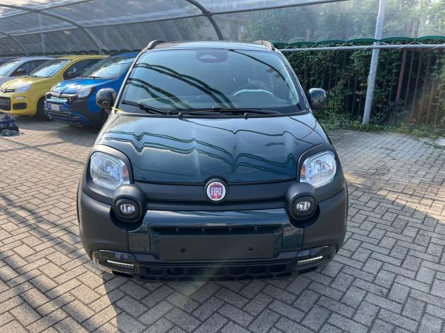 FIAT Panda Pandina Cross 1.0 firefly hybrid s&s 65cv - Foto 2