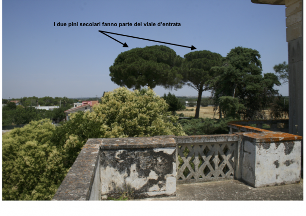 Prestigiosa masseria nel cuore del Salento - Foto 8