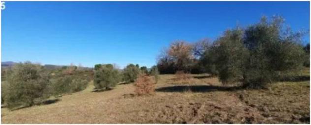 Immobile in asta di 37170 m² in vendita a Baschi - Foto 6