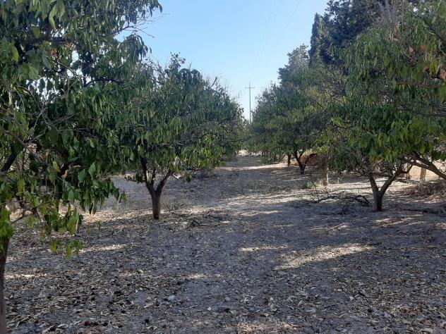 Agricolo in vendita a Monastir - Foto 2