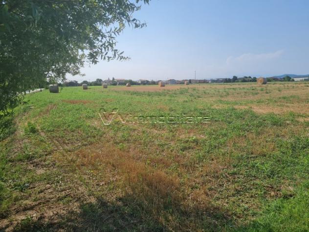 Seminativo in vendita a Noventa Vicentina - Foto 4