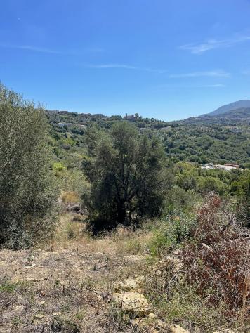 Agricolo in Via Nazionale - Foto 16