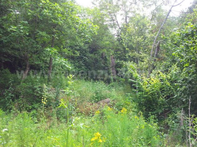 Rustico di frantoio ad acqua con giardino. - Foto 14