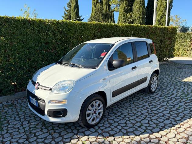 FIAT Panda 0.9Turbo S&S 4x4 Eld Pop N1-Van - 2019 - Foto 9