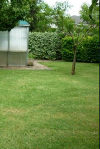 Immobile in asta di 308 m² in vendita a Sinalunga - Foto 4