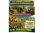 Servizio di giardinaggio