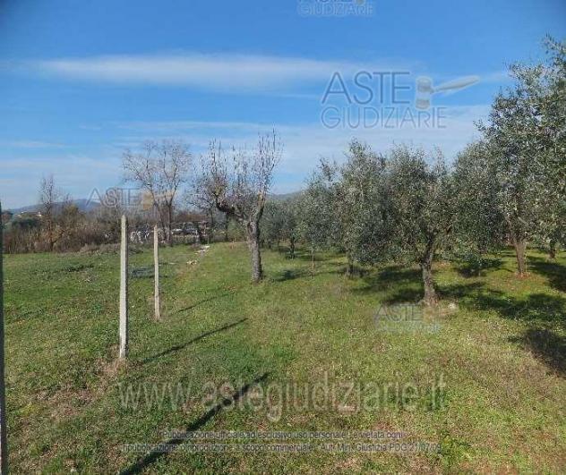 IMMOBILI-ALTRA CATEGORIA-Via Jugoslavia, 03011 Alatri FR, Italia, - Foto 3