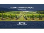 Immobile in asta di 11029 m² in vendita a Serra Sant'Abbondio